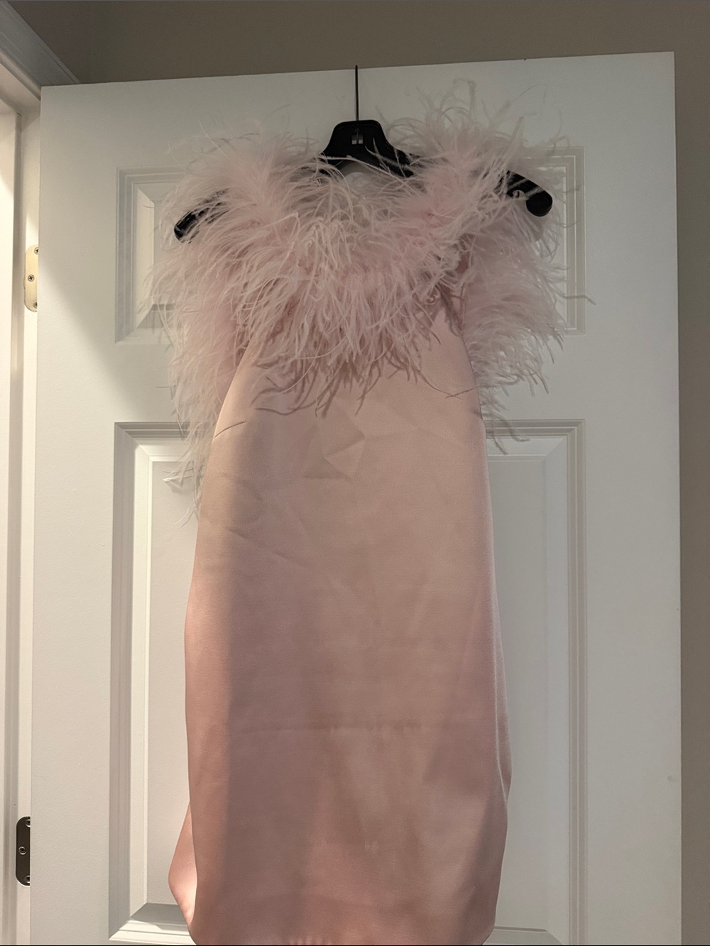 Retrofete Pale Pink Mini Dress with Feather Trim